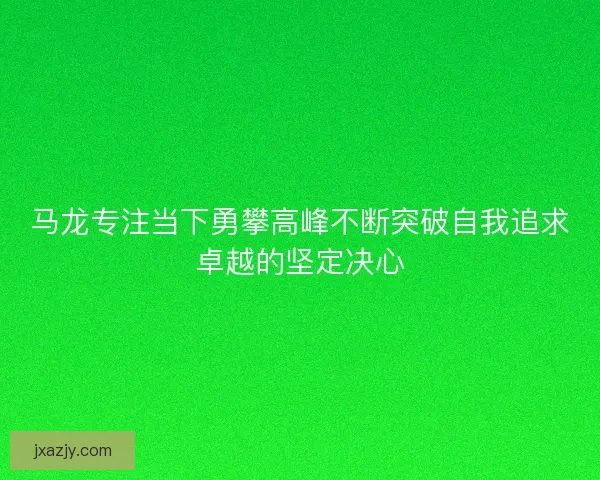 马龙专注当下勇攀高峰不断突破自我追求卓越的坚定决心